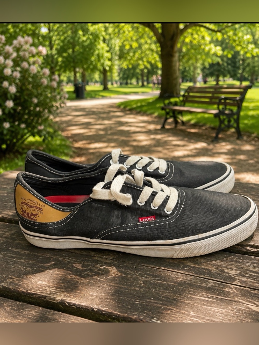 Levi's Black Canvas Low-Top Sneakers with White Laces and Tan Heel Patch size 10